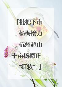 枇杷下市，杨梅接力，杭州超山千亩杨梅正“红妆”