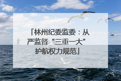 林州纪委监委：从严监督“三重一大” 护航权力规范