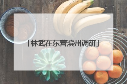 林武在东营滨州调研