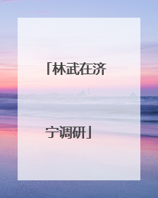 林武在济宁调研