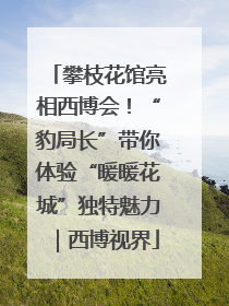 攀枝花馆亮相西博会！“豹局长”带你体验“暖暖花城”独特魅力｜西博视界