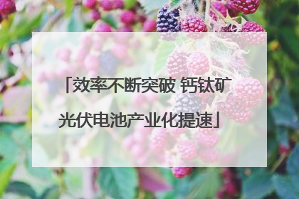 效率不断突破 钙钛矿光伏电池产业化提速