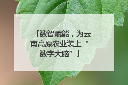 数智赋能，为云南高原农业装上“数字大脑”