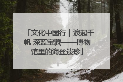 文化中国行｜浪起千帆 深蓝宝藏——博物馆里的海丝遗珍