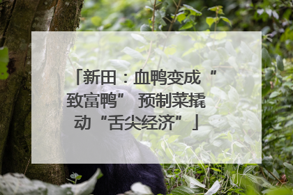 新田：血鸭变成“致富鸭” 预制菜撬动“舌尖经济”