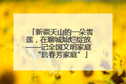 新疆天山的一朵雪莲，在聊城灿烂绽放——记全国文明家庭“詹春芳家庭”