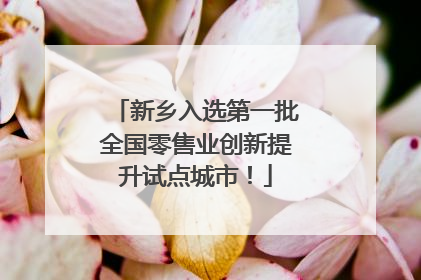新乡入选第一批全国零售业创新提升试点城市！
