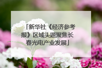 新华社《经济参考报》区域头题聚焦长春光电产业发展