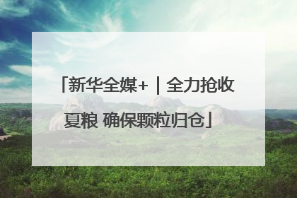 新华全媒+｜全力抢收夏粮 确保颗粒归仓