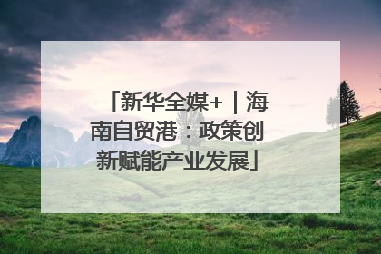 新华全媒+｜海南自贸港：政策创新赋能产业发展