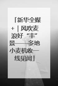 新华全媒+｜风吹麦浪好“丰”景——多地小麦机收一线见闻