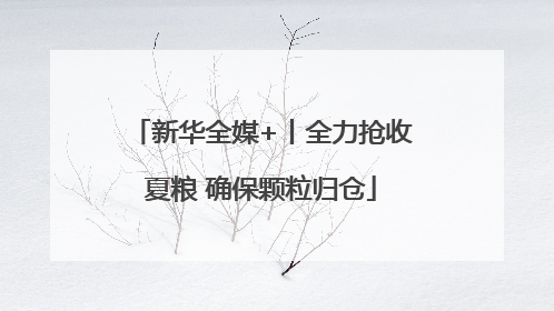 新华全媒+丨全力抢收夏粮 确保颗粒归仓