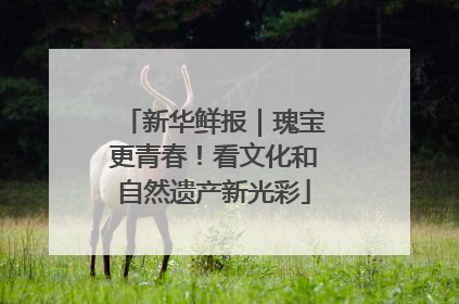新华鲜报｜瑰宝更青春！看文化和自然遗产新光彩