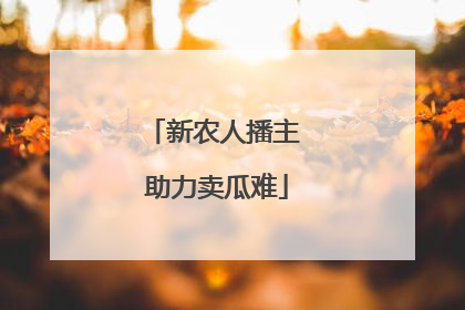 新农人播主 助力卖瓜难