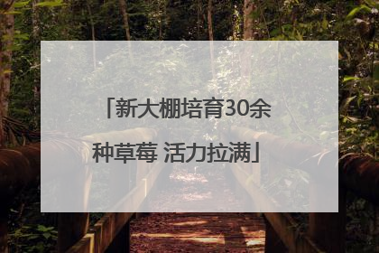 新大棚培育30余种草莓 活力拉满