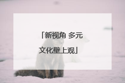 新视角 多元文化壁上观