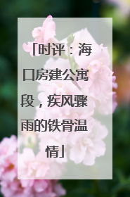 时评：海口房建公寓段，疾风骤雨的铁骨温情