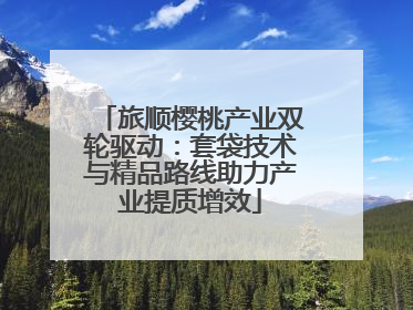 旅顺樱桃产业双轮驱动：套袋技术与精品路线助力产业提质增效