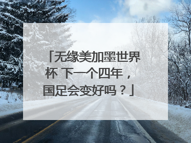 无缘美加墨世界杯 下一个四年，国足会变好吗？