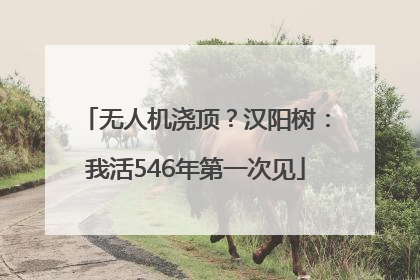 无人机浇顶？汉阳树：我活546年第一次见