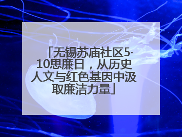 无锡苏庙社区5·10思廉日，从历史人文与红色基因中汲取廉洁力量