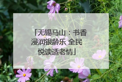 无锡马山：书香浸润银龄乐 全民悦读适老情
