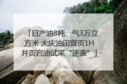 日产油8吨、气3万立方米 大庆油田营页1H井页岩油试采“逆袭”