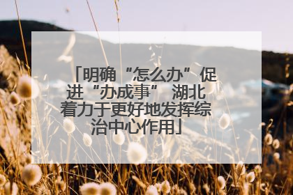 明确“怎么办”促进“办成事” 湖北着力于更好地发挥综治中心作用