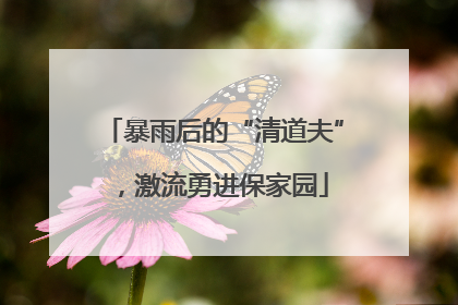 暴雨后的“清道夫”，激流勇进保家园