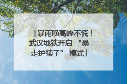 暴雨晚高峰不慌！武汉地铁开启 “暴走护犊子” 模式