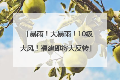 暴雨！大暴雨！10级大风！福建即将大反转