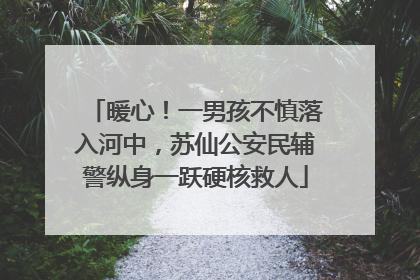 暖心！一男孩不慎落入河中，苏仙公安民辅警纵身一跃硬核救人