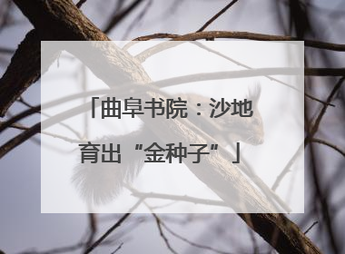 曲阜书院：沙地育出“金种子”
