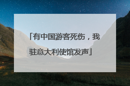 有中国游客死伤，我驻意大利使馆发声