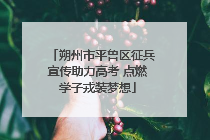 朔州市平鲁区征兵宣传助力高考 点燃学子戎装梦想