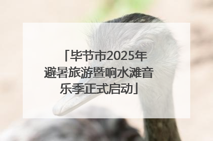 毕节市2025年避暑旅游暨响水滩音乐季正式启动