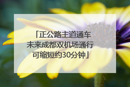 正公路主道通车 未来成都双机场通行可缩短约30分钟