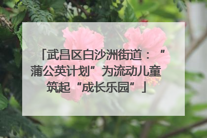 武昌区白沙洲街道：“蒲公英计划”为流动儿童筑起“成长乐园”