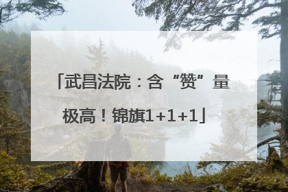 武昌法院：含“赞”量极高！锦旗1+1+1