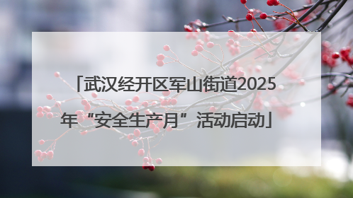 武汉经开区军山街道2025年“安全生产月”活动启动