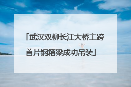 武汉双柳长江大桥主跨首片钢箱梁成功吊装