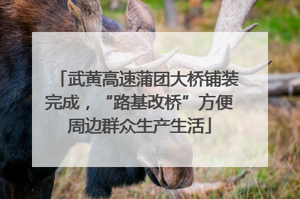 武黄高速蒲团大桥铺装完成，“路基改桥”方便周边群众生产生活