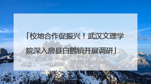 校地合作促振兴！武汉文理学院深入房县白鹤镇开展调研