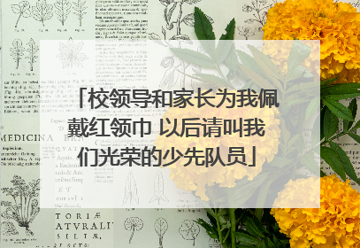 校领导和家长为我佩戴红领巾 以后请叫我们光荣的少先队员