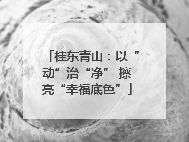 桂东青山：以“动”治“净” 擦亮“幸福底色”