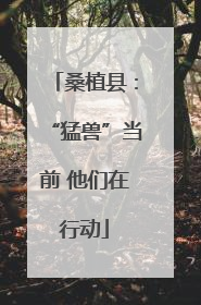 桑植县：“猛兽”当前 他们在行动