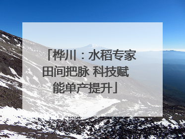 桦川：水稻专家田间把脉 科技赋能单产提升
