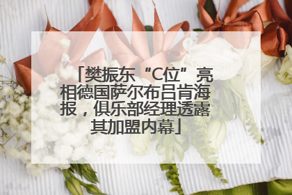 樊振东“C位”亮相德国萨尔布吕肯海报，俱乐部经理透露其加盟内幕