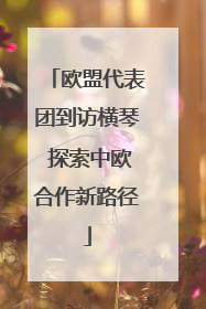 欧盟代表团到访横琴 探索中欧合作新路径