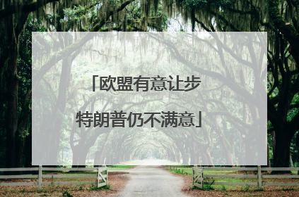 欧盟有意让步 特朗普仍不满意
